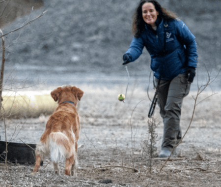 Variable reward training