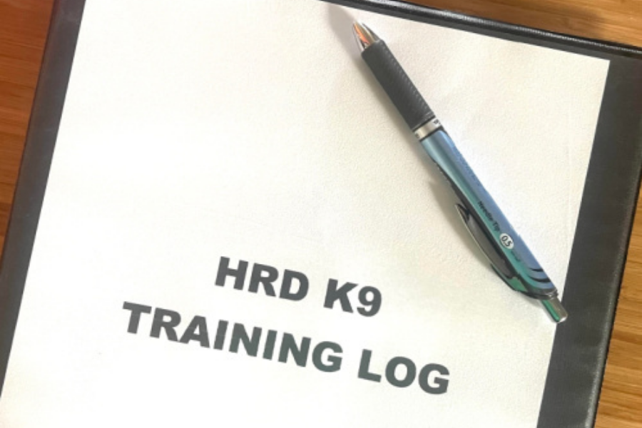 Training Log Template