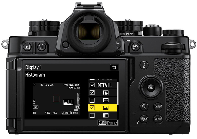 zf display customization