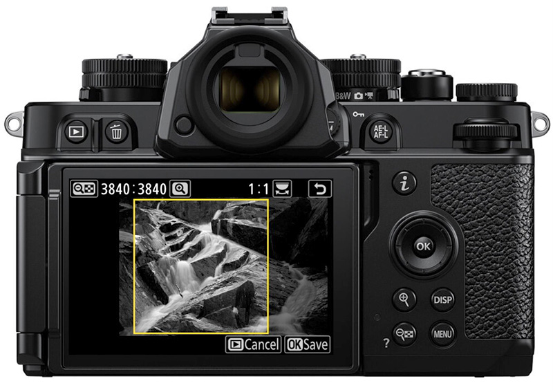 zf image retouch