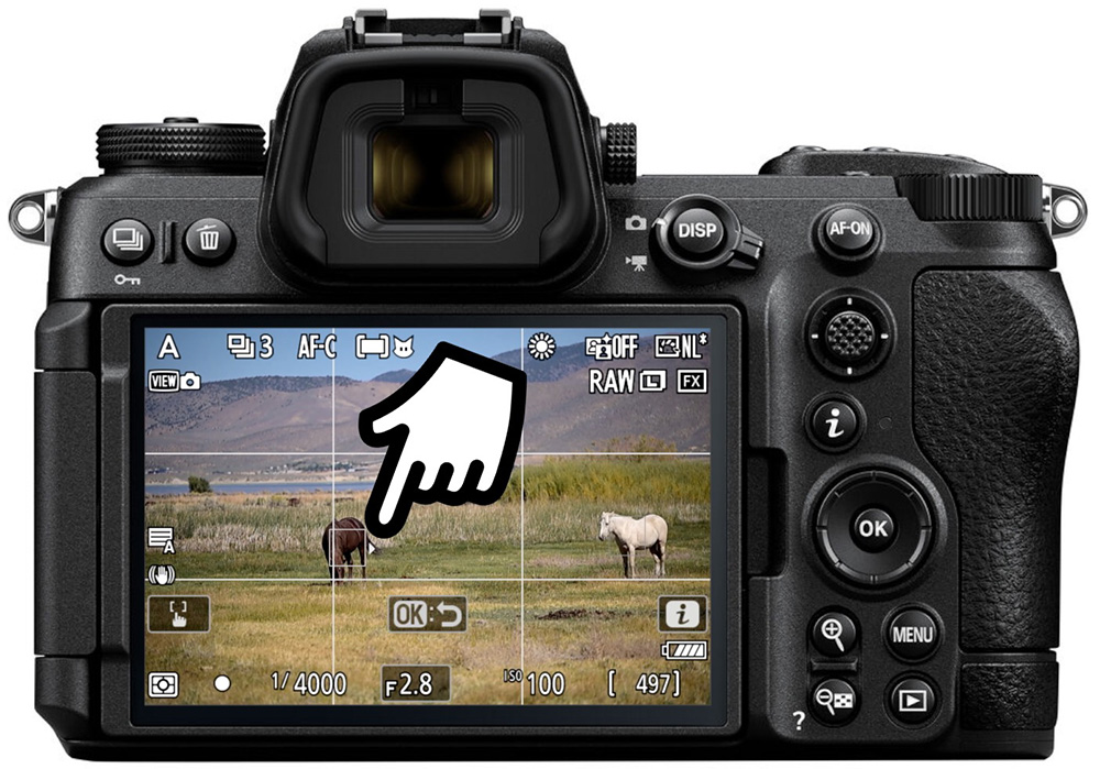 z6iii subject detection