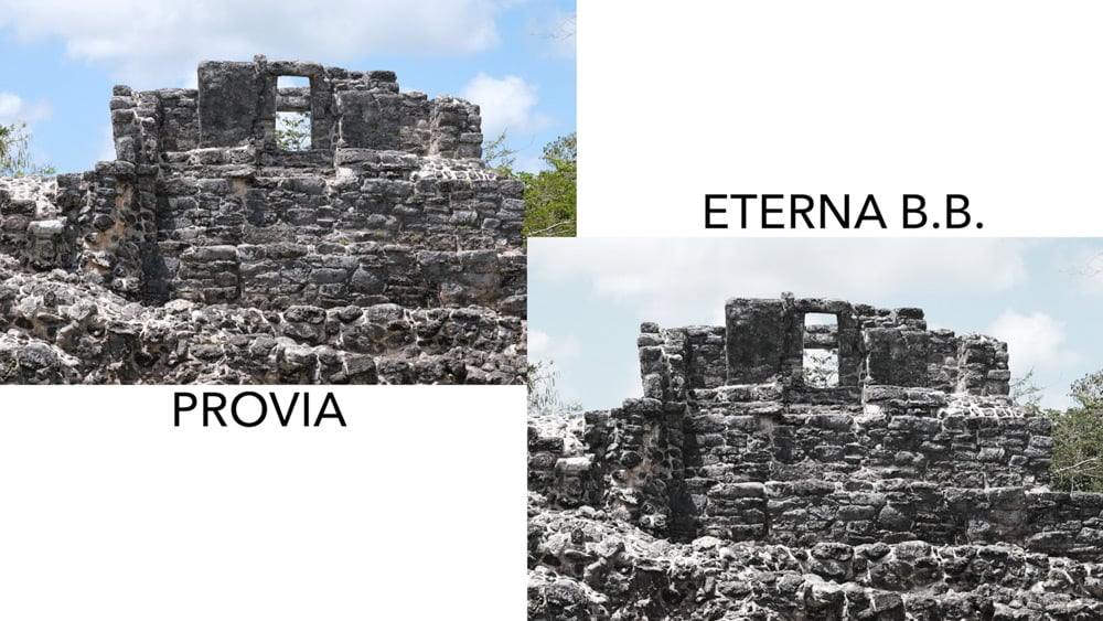 eterna bleach bypass vs provia film simulation comparison