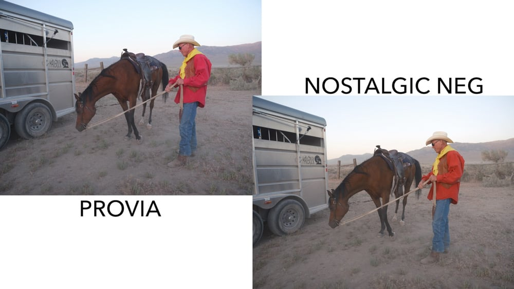 nostalgic neg vs provia film simulation comparison