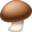 🍄‍🟫