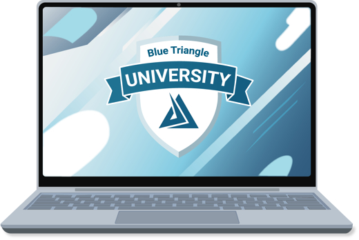 Blue Triangle University