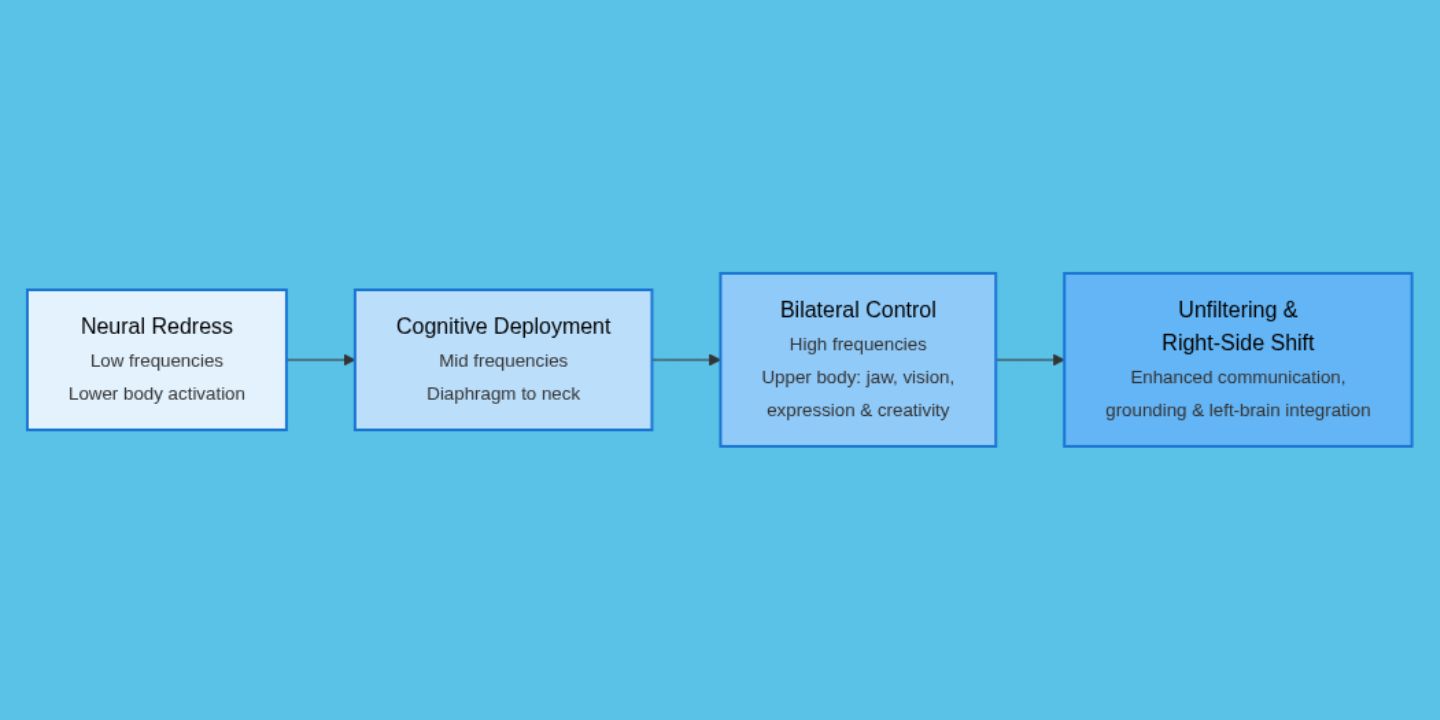 NeuraSonic Program Flowchart Neural Redress → Cognitive Deployment → Bilateral Control → Unfiltering & Right-Side Shift