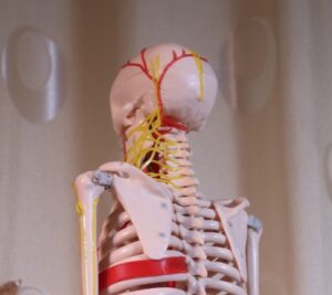 Εικόνα που περιέχει εσωτερικός χώρος, τοίχος, παιχνίδιΤο περιεχόμενο που δημιουργείται από AI ενδέχεται να είναι εσφαλμένο.