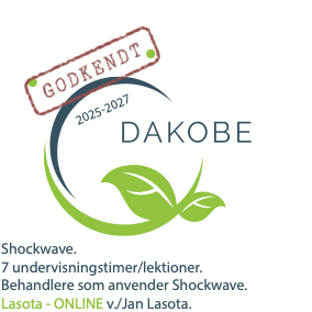LAVET_GODKENDT_DAKOBE_LOGO_Online_Shockwave.pdf