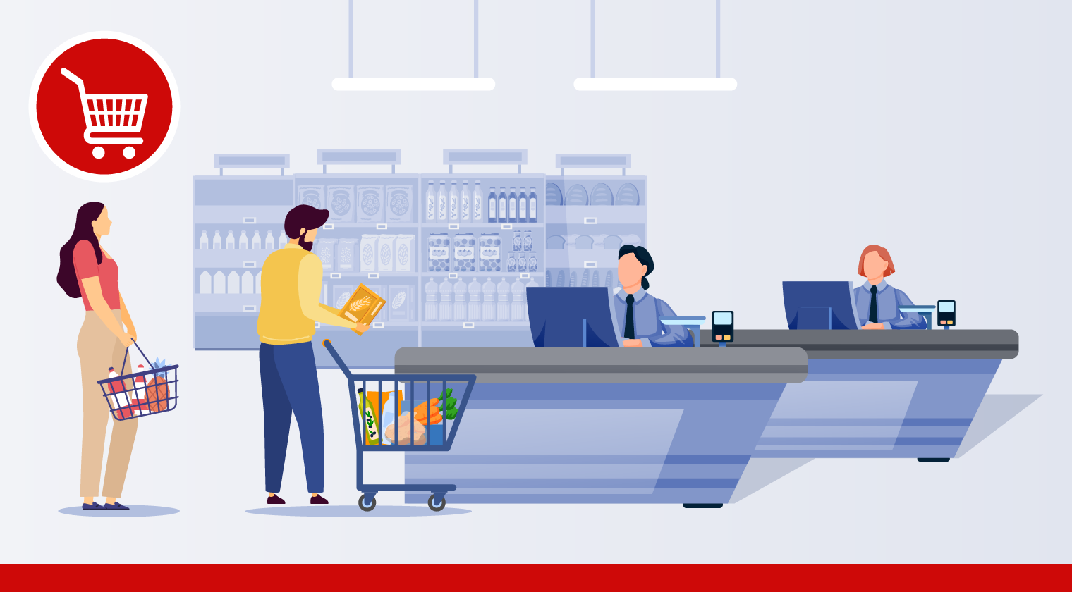 Delhaize Le Lion Customer Insight Report — FY24 (restricted)