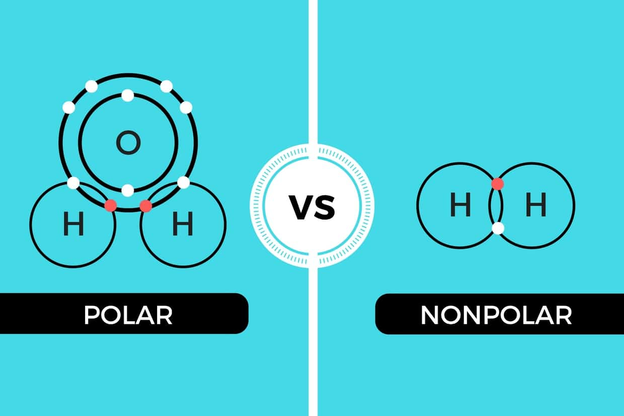 Polar vs Nonpolar - It's all about sharing, on an atomic level