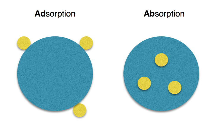 Adsorption - The Daily Garden