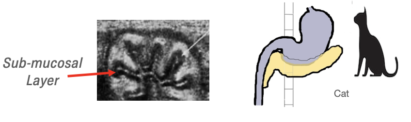 Screenshot 2022 05 27 at 11.10.24