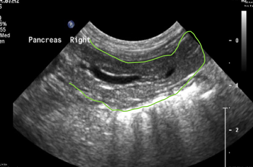 Screenshot 2022 05 22 at 17.53.26