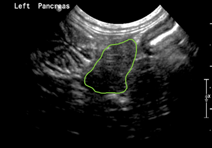 Screenshot 2022 05 22 at 17.54.35