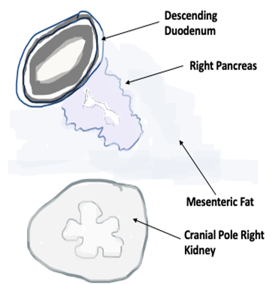 Screenshot 2022 05 27 at 11.36.50