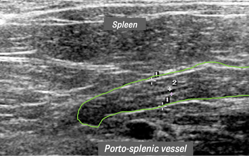 Screenshot 2022 05 22 at 17.54.58