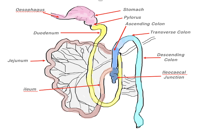 Screenshot 2022 05 22 at 16.34.04