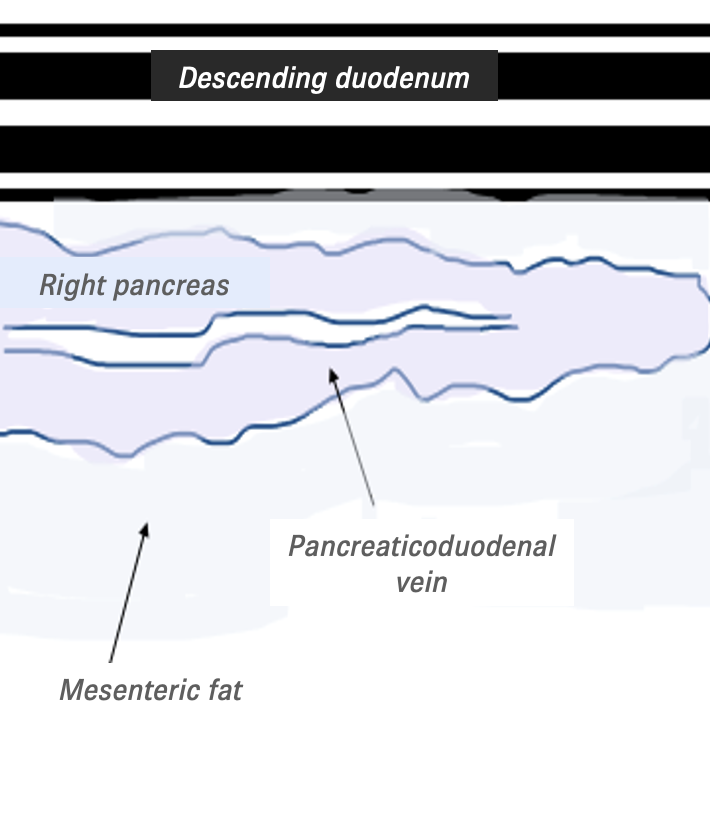 Screenshot 2022 05 22 at 17.08.06