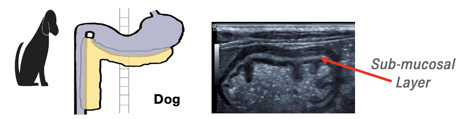 Screenshot 2022 05 27 at 11.09.49