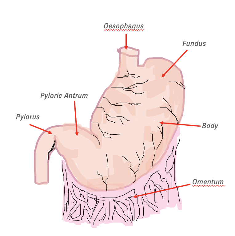 Screenshot 2021 05 13 at 12.03.08