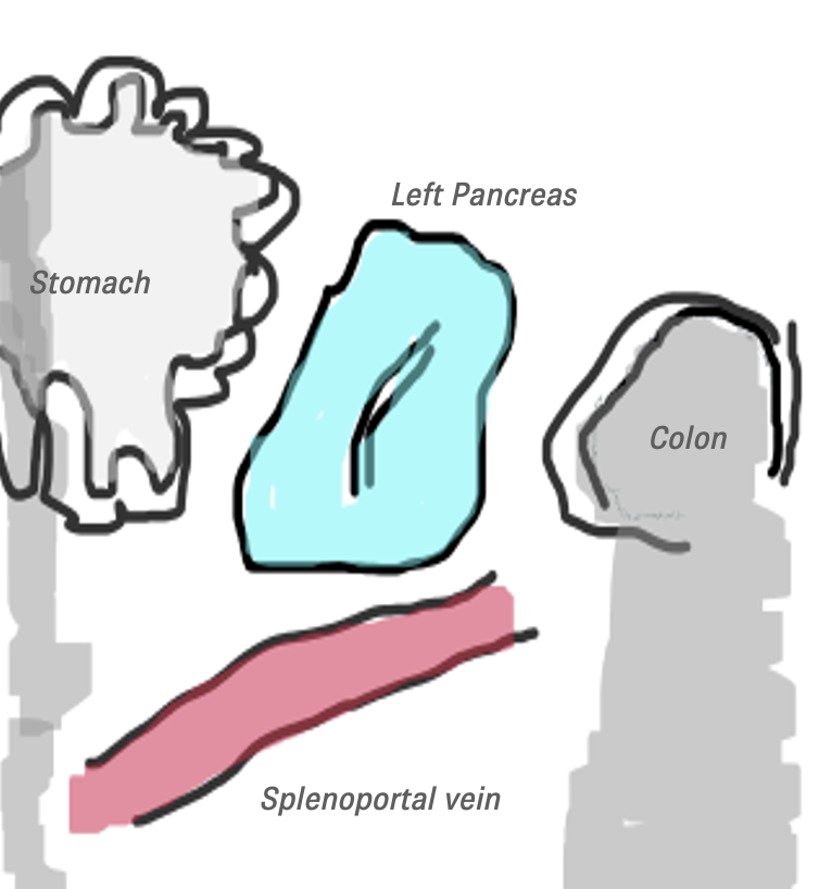 Screenshot 2022 05 22 at 16.41.12