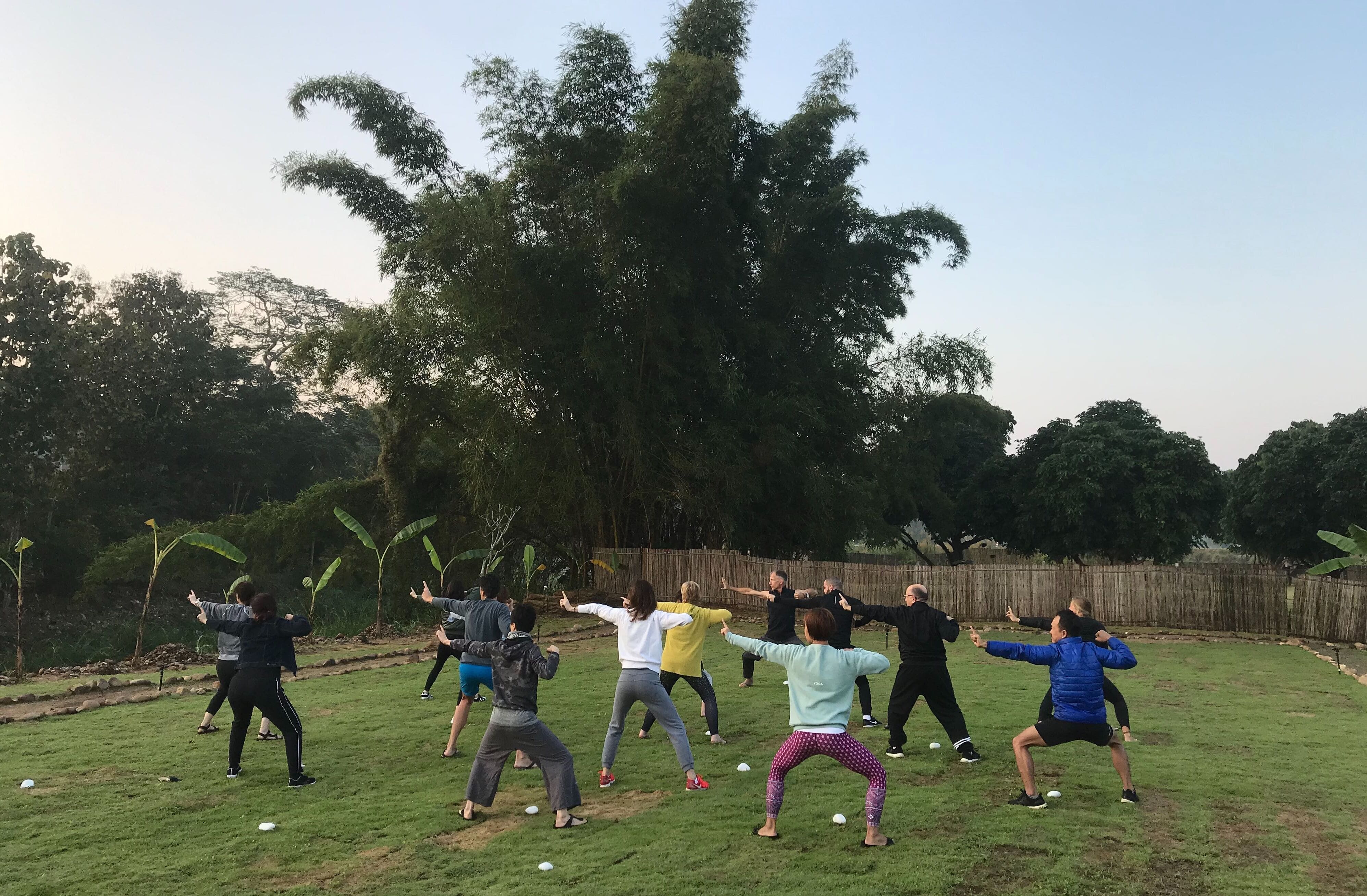 Qi Gong practice—2020.