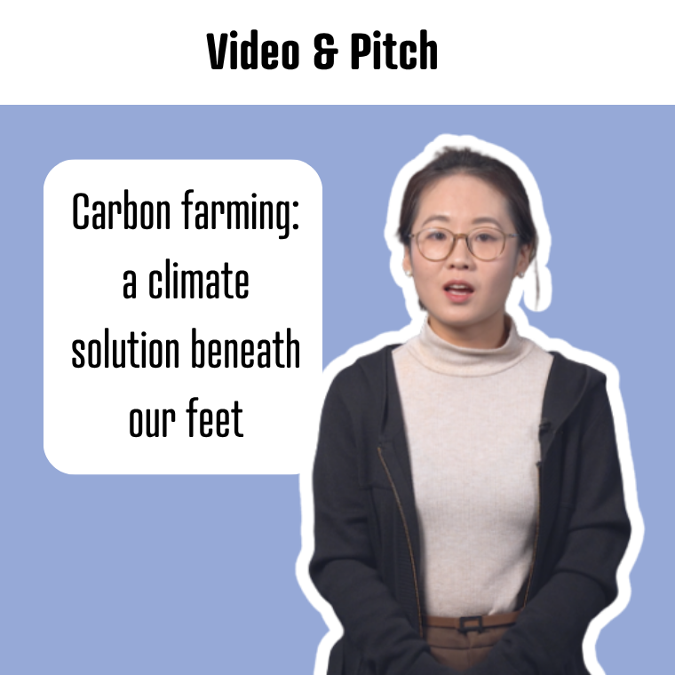Buikvlies Video Pitch