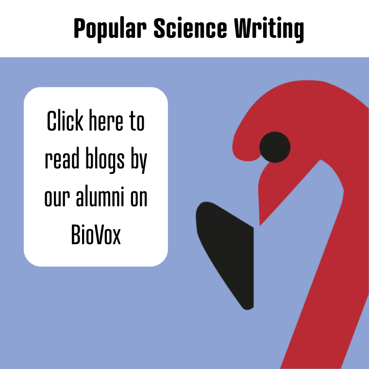 Blogs Biovox