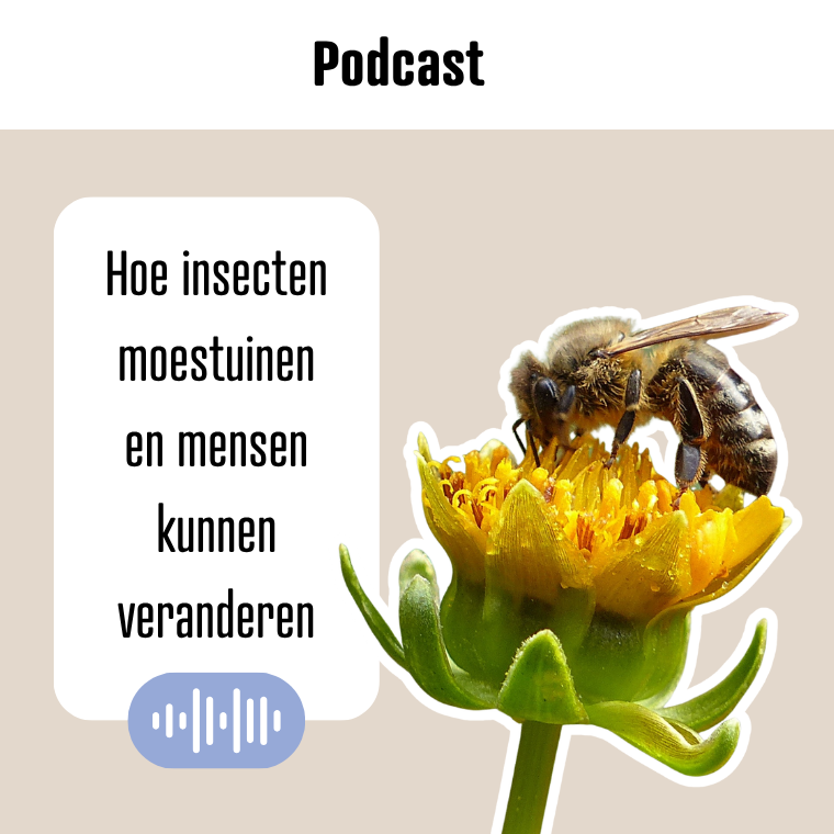 Podcast Insecten
