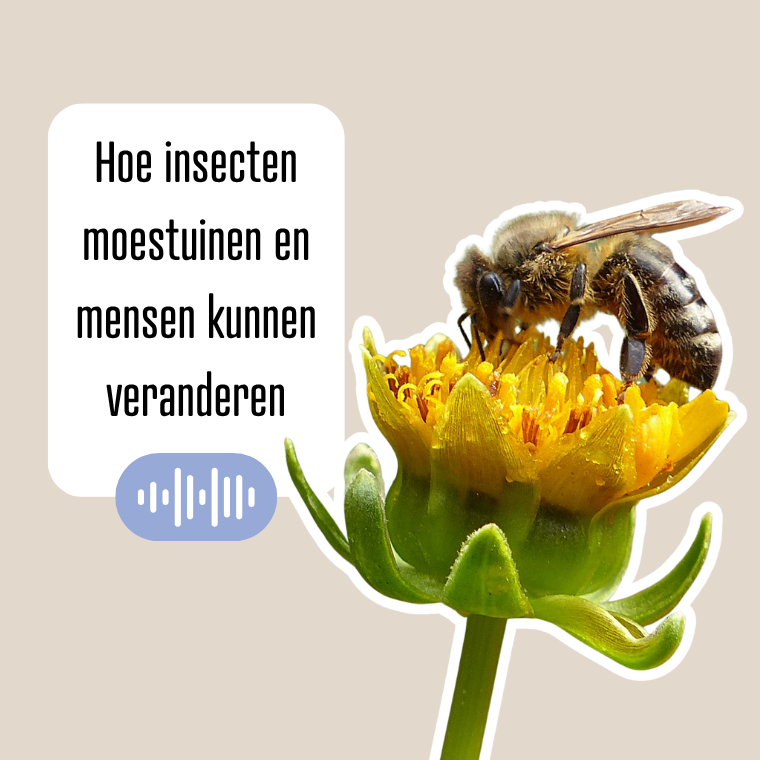 Podcast: Insecten