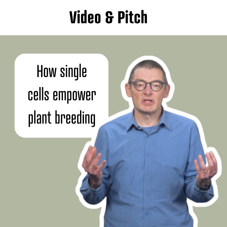 Buikvlies Video Pitch