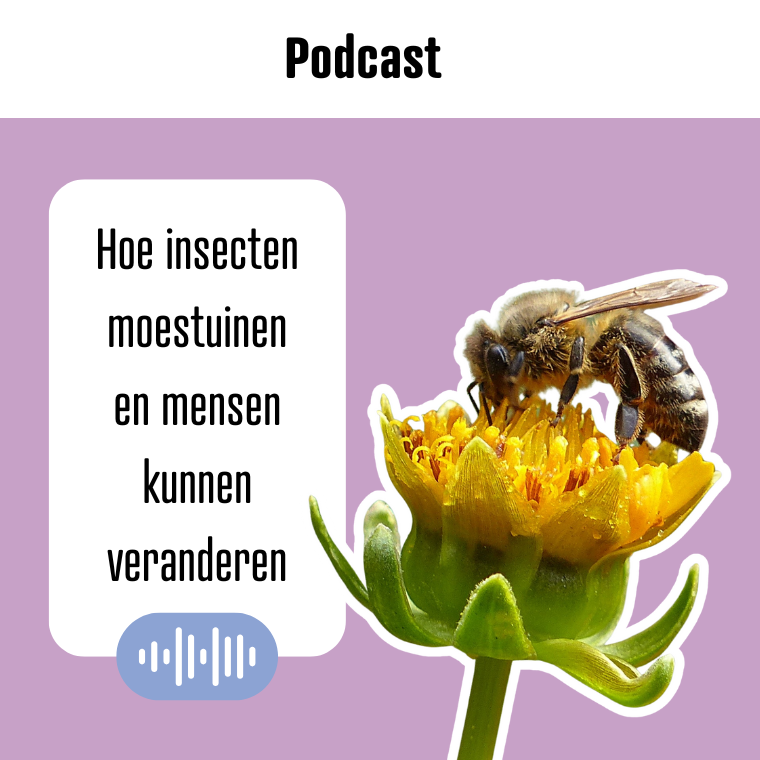 Podcast Insecten