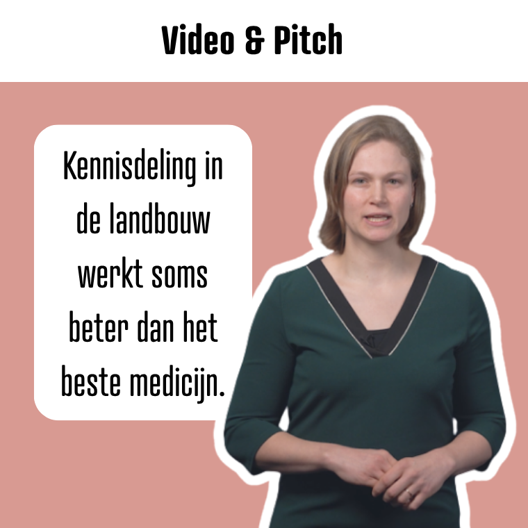 Buikvlies Video Pitch