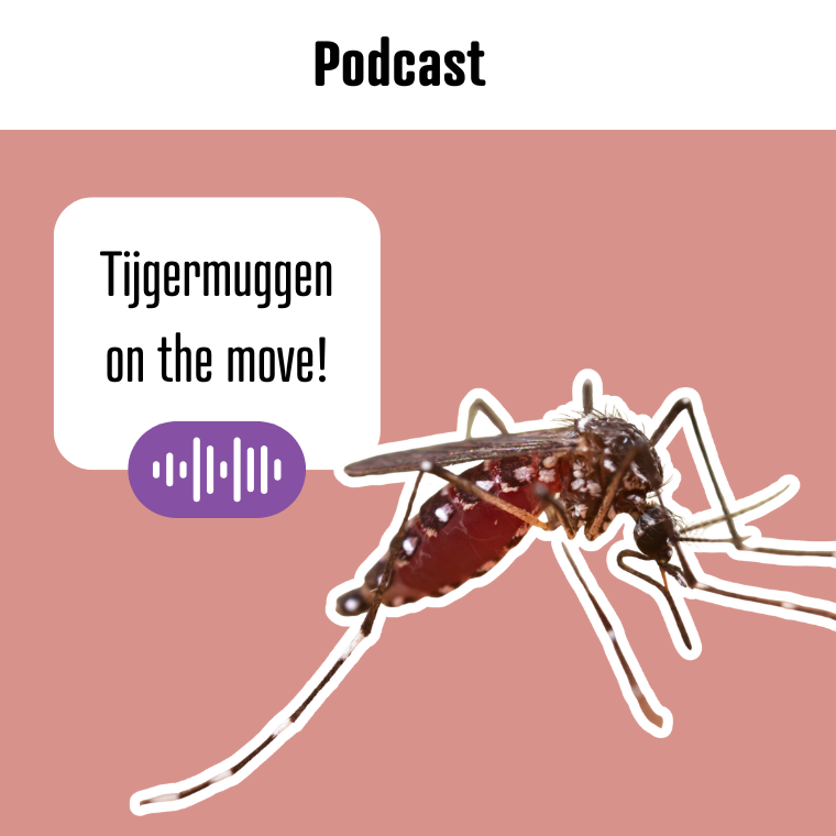 Podcast Tijgermuggen