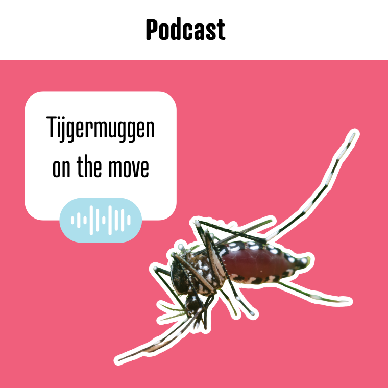 Podcast Tijgermuggen