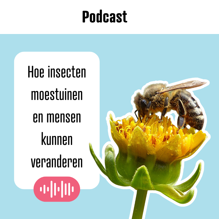 Podcast Insecten