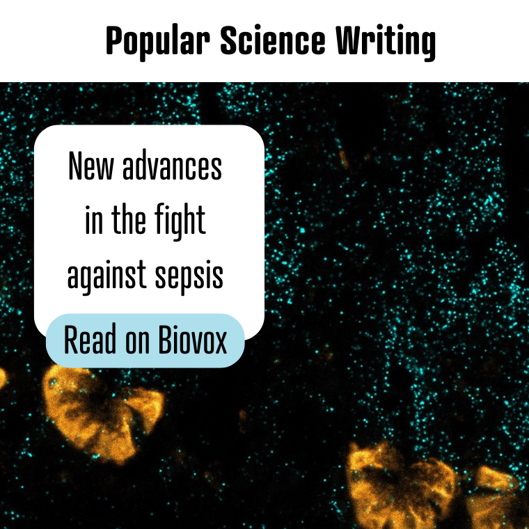 Blog Sepsis