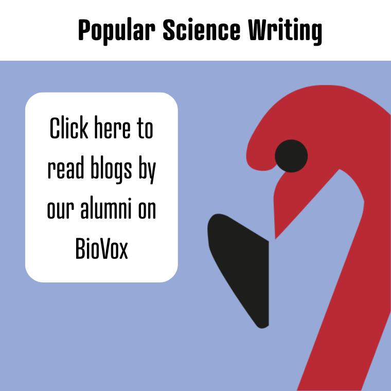 Blogs Biovox