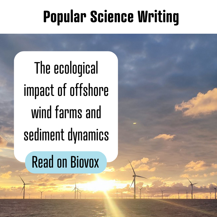 Blog Wind