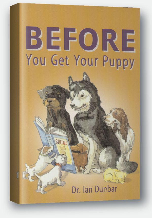 BEFORE You Get Your Puppy paperback