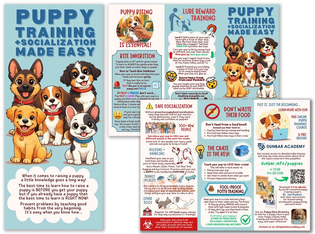 The Puppy Training + Socialization Made Easy pamphlet: front cover, outside and inside panels