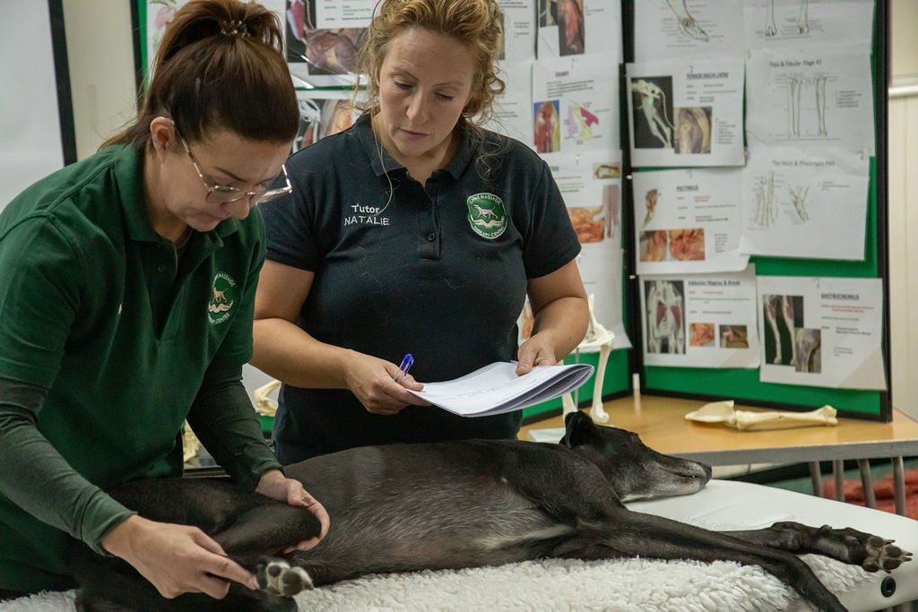 The Lenton Method® In Action