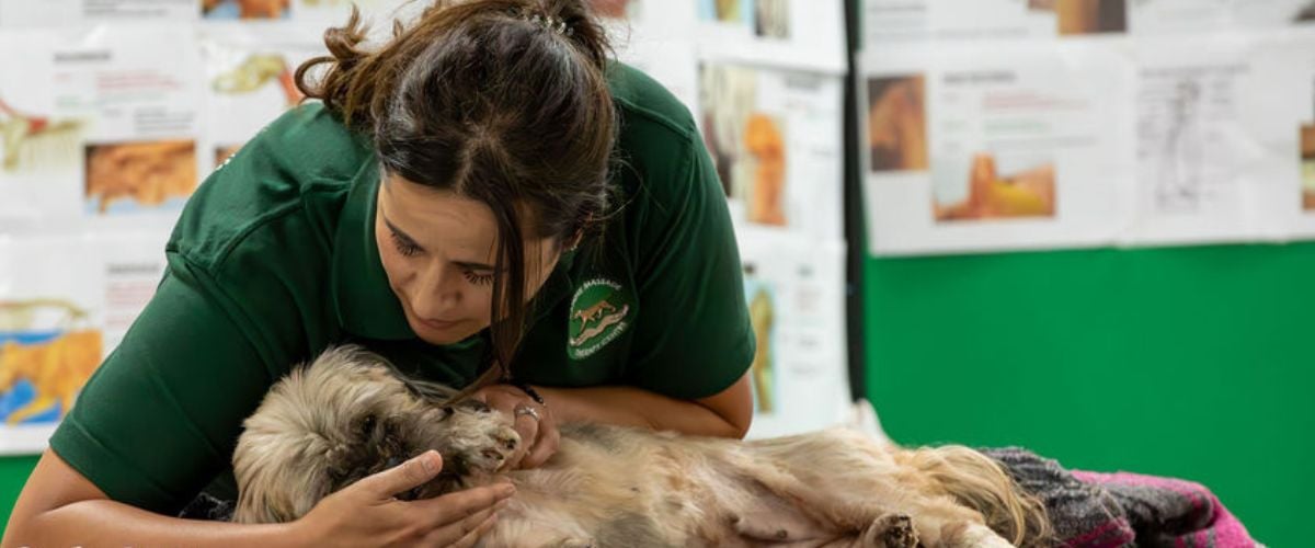 Philosophy of The Lenton Method®