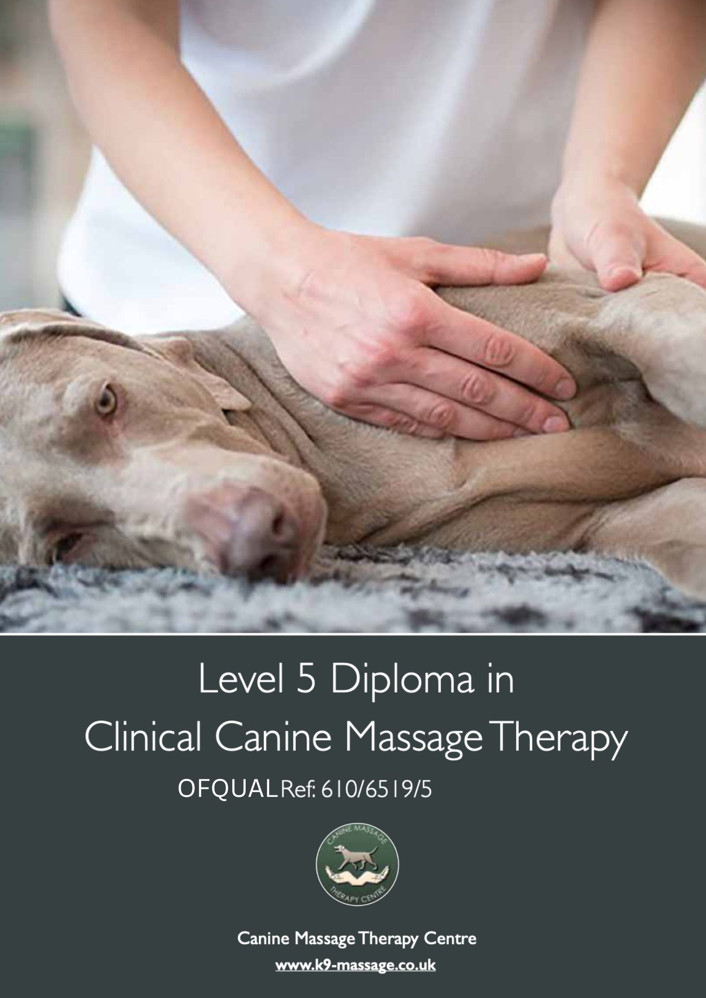 Clinical Canine Massage Diploma Prospectus 2026