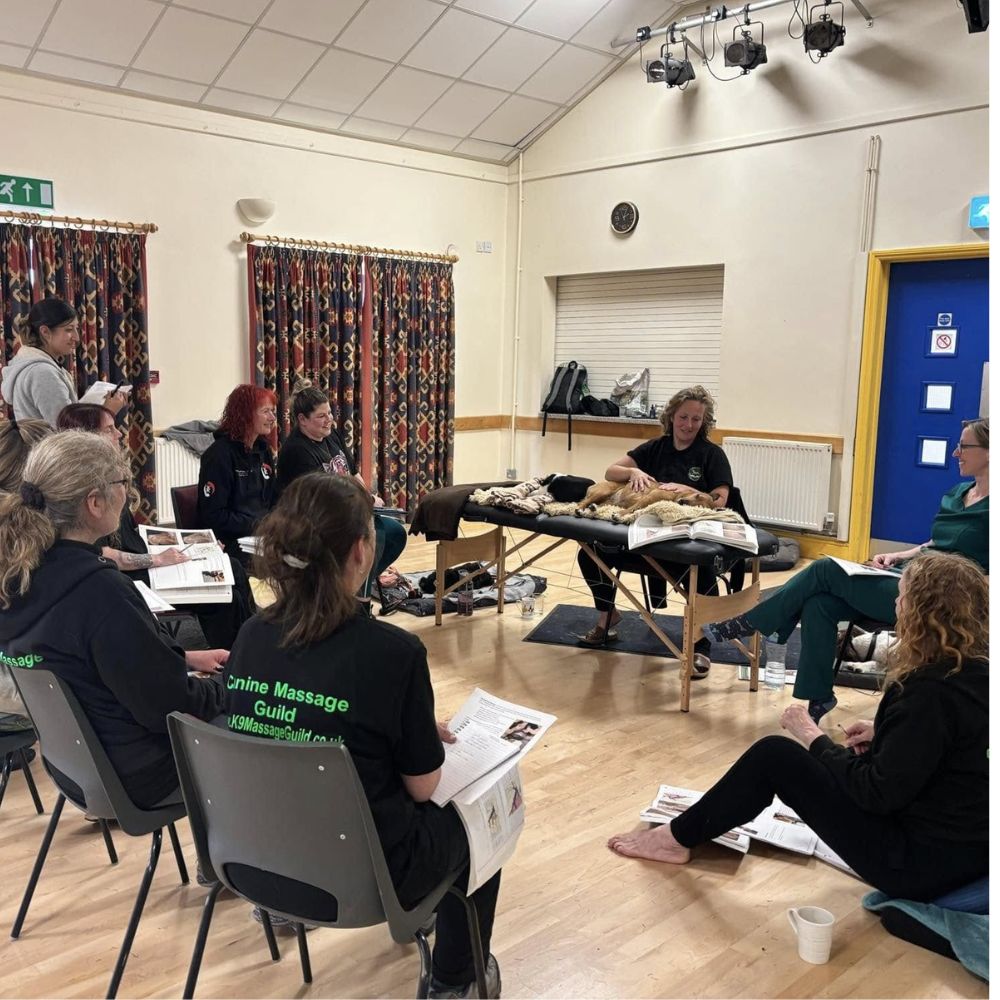 Skills Review Practitioner in Action