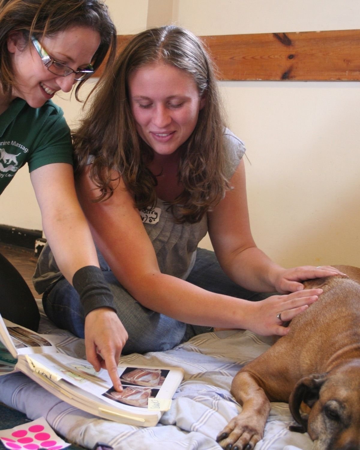 Workshop Instructor Programme