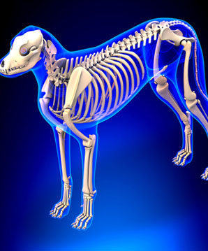 how_massage_helps_arthritis