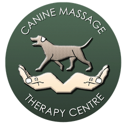 CMTC Logo