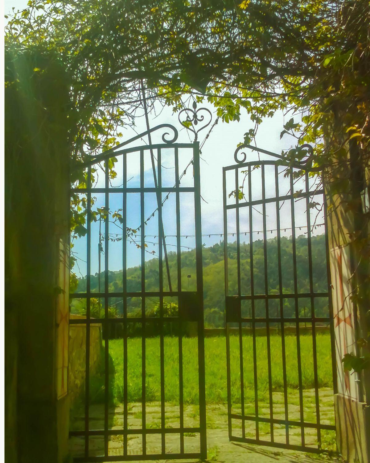 Walk Between Worlds Retreat