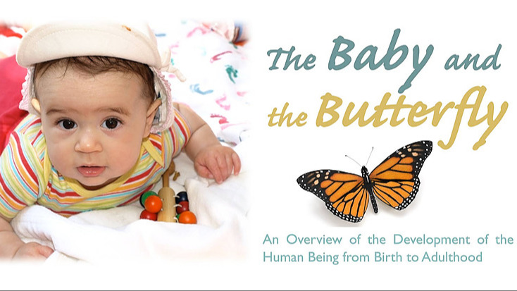 The Baby and the Butterfly Course